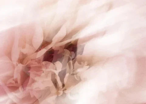 Collagène Visage : Comprendre la Perte et Stimuler la Production Naturellement
