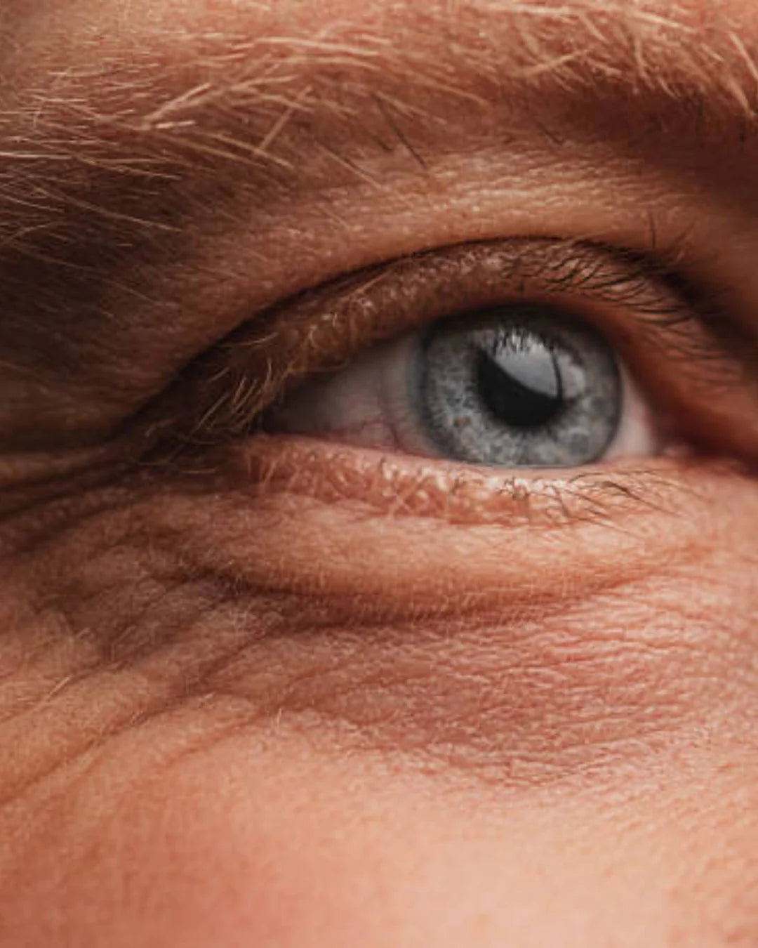 Gros plan d’un œil bleu avec de fines ridules et des pattes-d’oie autour de l’œil.