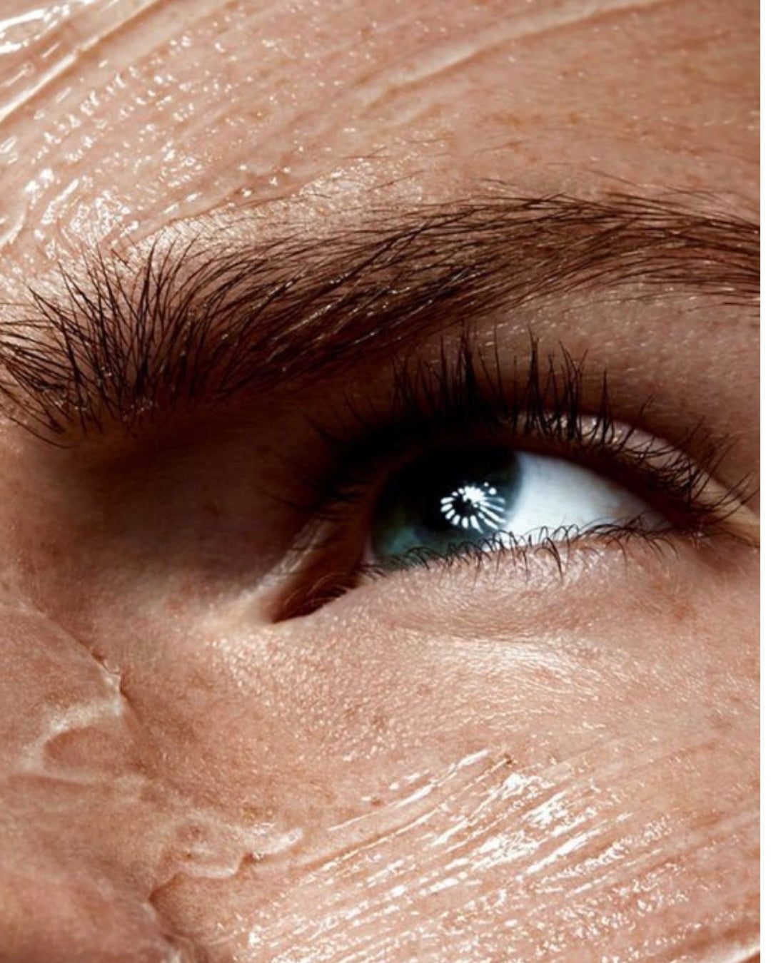 Gros plan d’un œil gris-bleu avec sourcil épais, la peau du contour de l’œil est brillante comme après application d’un soin.