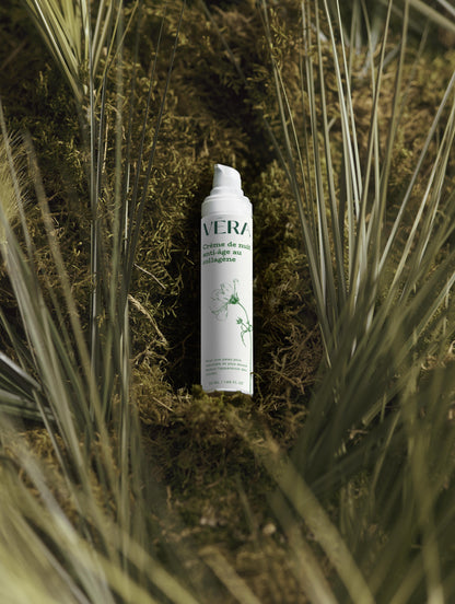 Crème de Nuit Anti-Âge au Collagène (50 ml)